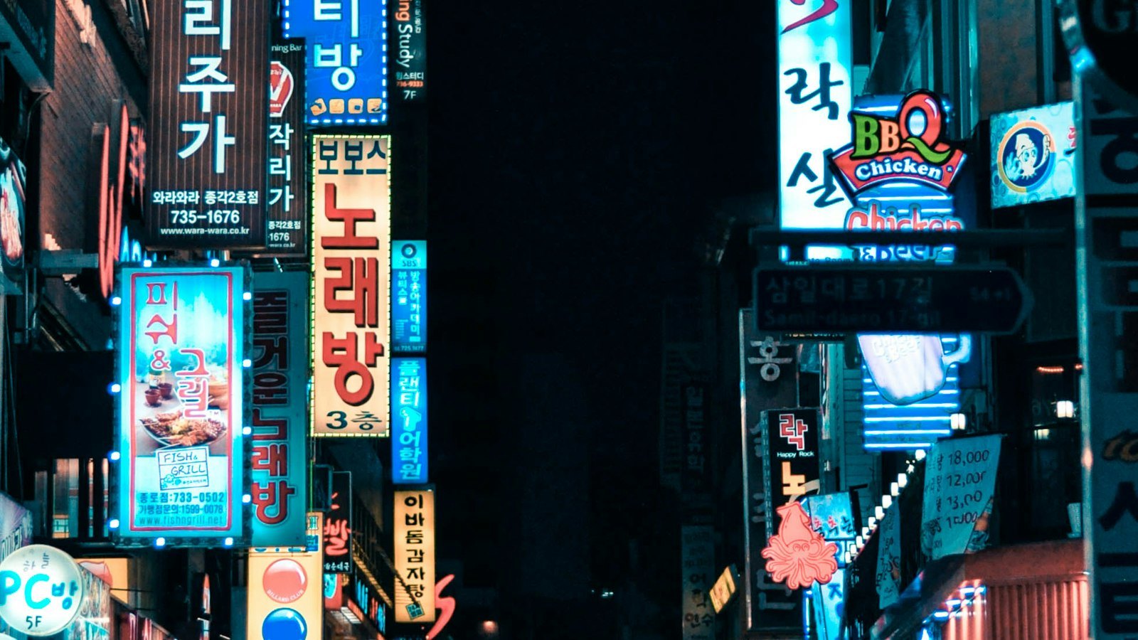 놀장 표지